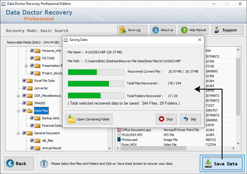 DDR Professional Data Recovery Software Data Recovery Software